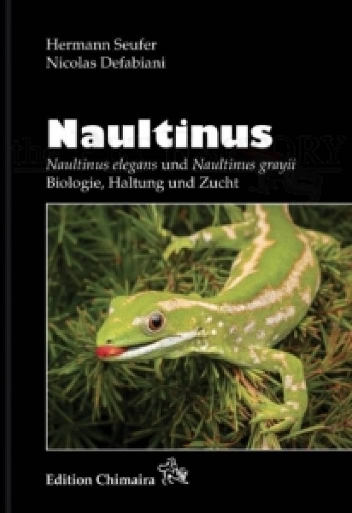 Naultinus - Naultinus elegans & Naultinus grayii DE